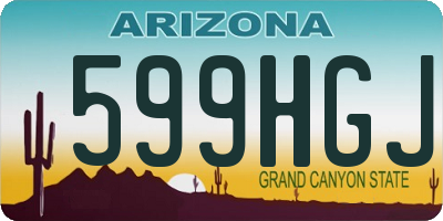 AZ license plate 599HGJ