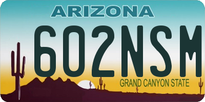 AZ license plate 602NSM