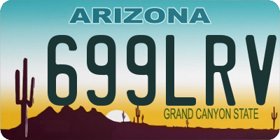 AZ license plate 699LRV