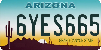 AZ license plate 6YES665