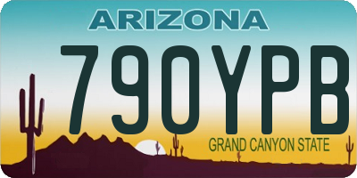 AZ license plate 790YPB