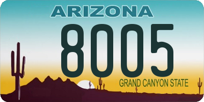 AZ license plate 8005