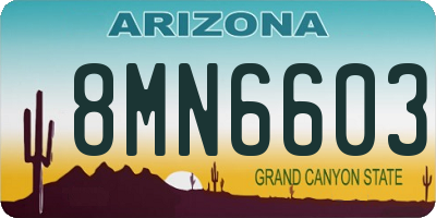 AZ license plate 8MN6603