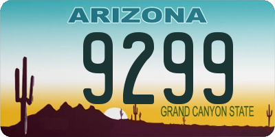 AZ license plate 9299