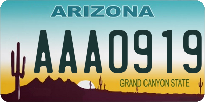 AZ license plate AAA0919