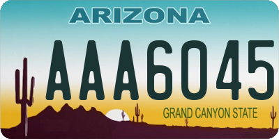 AZ license plate AAA6045