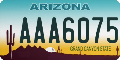 AZ license plate AAA6075