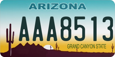 AZ license plate AAA8513