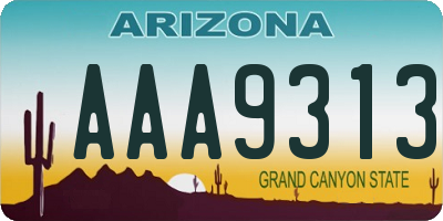 AZ license plate AAA9313