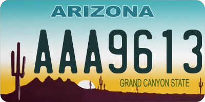 AZ license plate AAA9613