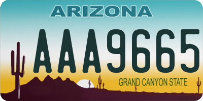 AZ license plate AAA9665