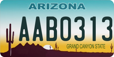 AZ license plate AAB0313