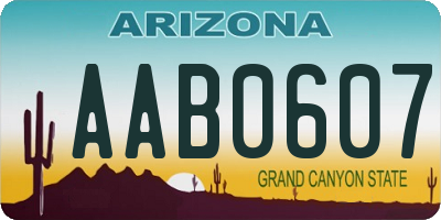 AZ license plate AAB0607