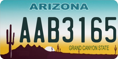 AZ license plate AAB3165