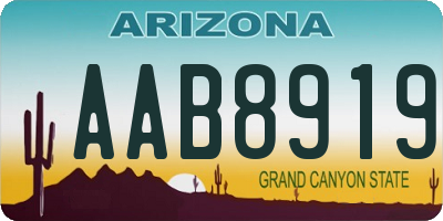 AZ license plate AAB8919