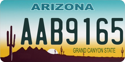 AZ license plate AAB9165