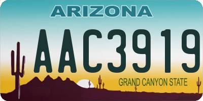AZ license plate AAC3919