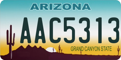 AZ license plate AAC5313