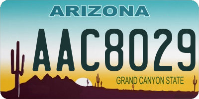 AZ license plate AAC8029