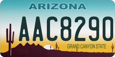 AZ license plate AAC8290