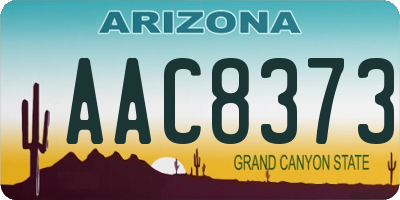 AZ license plate AAC8373