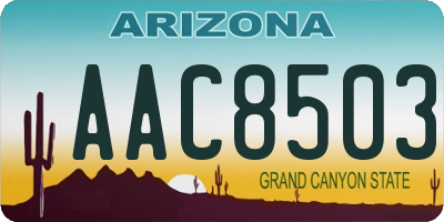 AZ license plate AAC8503