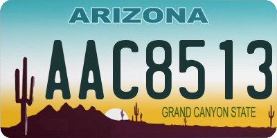 AZ license plate AAC8513