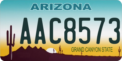 AZ license plate AAC8573