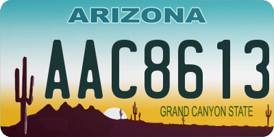 AZ license plate AAC8613