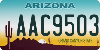 AZ license plate AAC9503