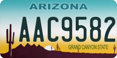 AZ license plate AAC9582
