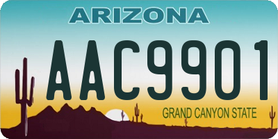 AZ license plate AAC9901