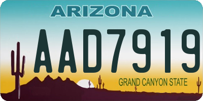 AZ license plate AAD7919