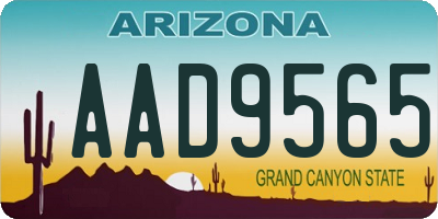 AZ license plate AAD9565