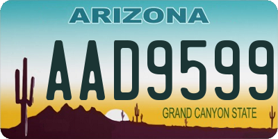AZ license plate AAD9599