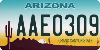 AZ license plate AAE0309