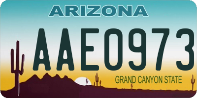 AZ license plate AAE0973