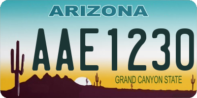 AZ license plate AAE1230