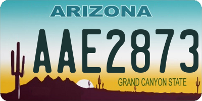 AZ license plate AAE2873