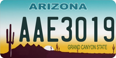AZ license plate AAE3019