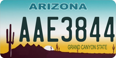 AZ license plate AAE3844