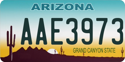 AZ license plate AAE3973