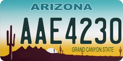 AZ license plate AAE4230