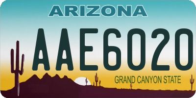 AZ license plate AAE6020