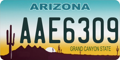 AZ license plate AAE6309