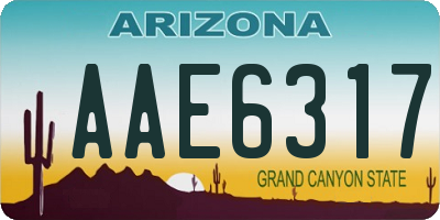 AZ license plate AAE6317
