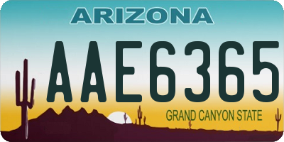 AZ license plate AAE6365