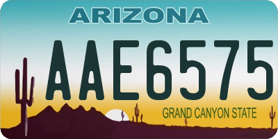 AZ license plate AAE6575