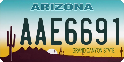 AZ license plate AAE6691