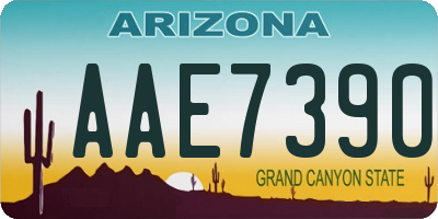 AZ license plate AAE7390